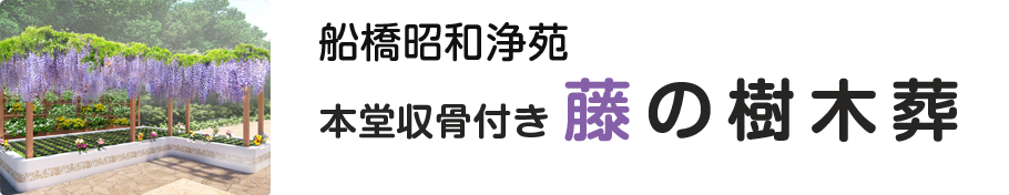 船橋昭和浄苑 本堂収骨付き藤の樹木葬